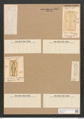 Amphiprora kuetzingiana Grev. (de-Toni-Nr.: Genus 29, Species 1358) Zeichnungen Sammlung Grunow Nr. 2577 (NHMW-BOT-W0369762)